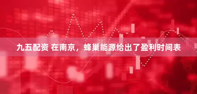 九五配资 在南京，蜂巢能源给出了盈利时间表